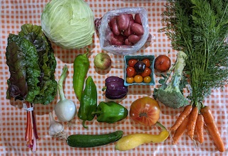 Half Summer Share (8 weeks)