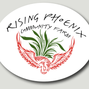 Rising Phoenix sticker