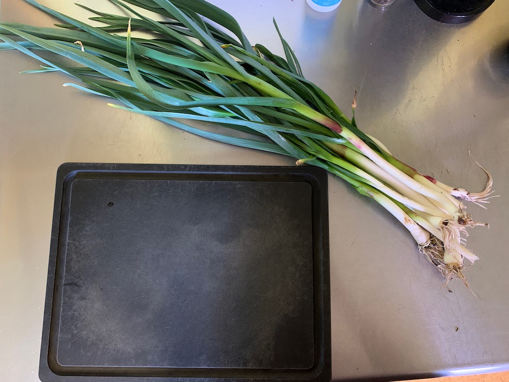 Scallions