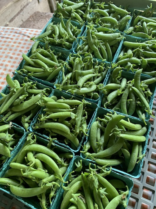 Sugar snap peas